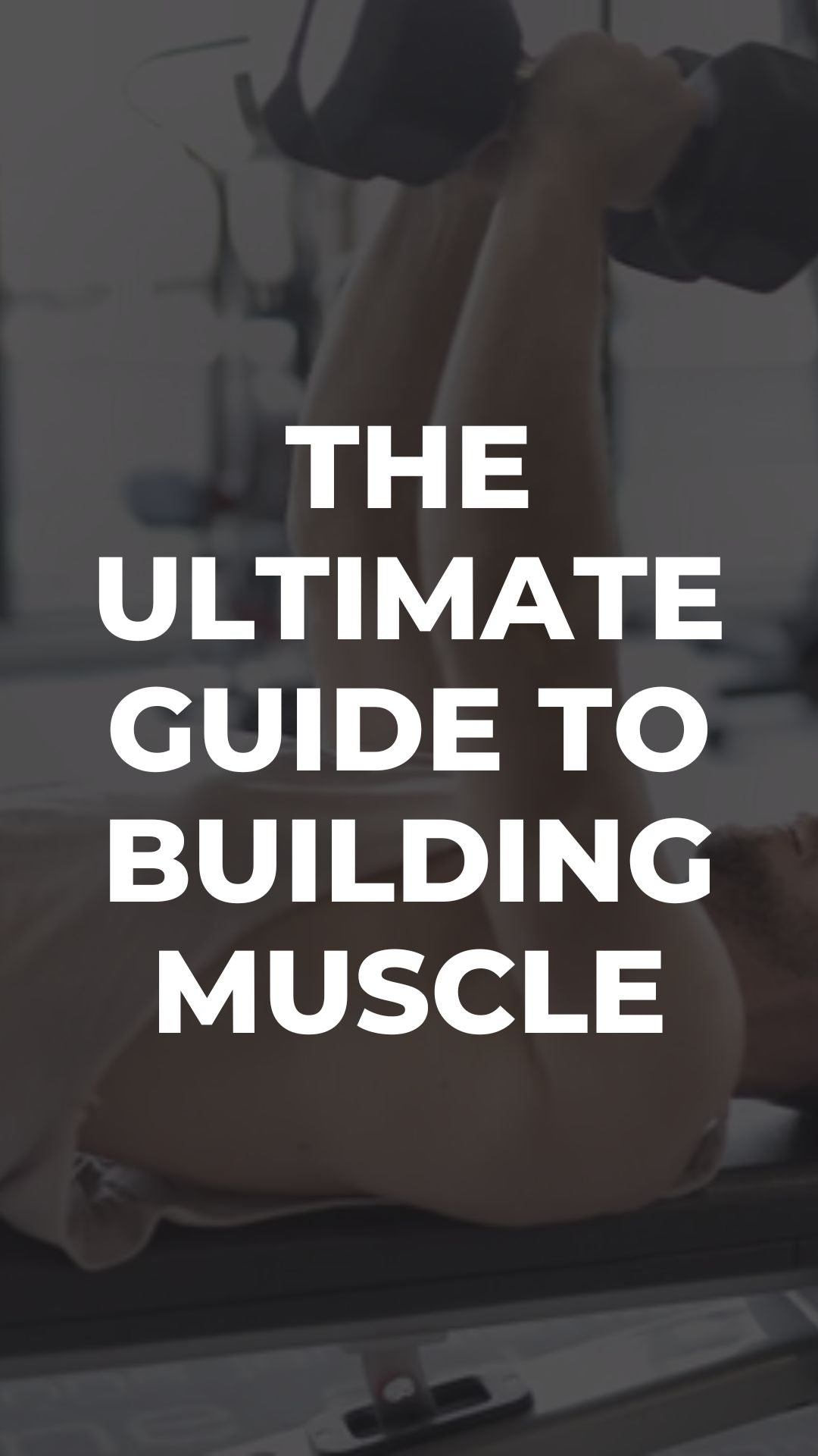 The Ultimate Guide to Building Muscle
