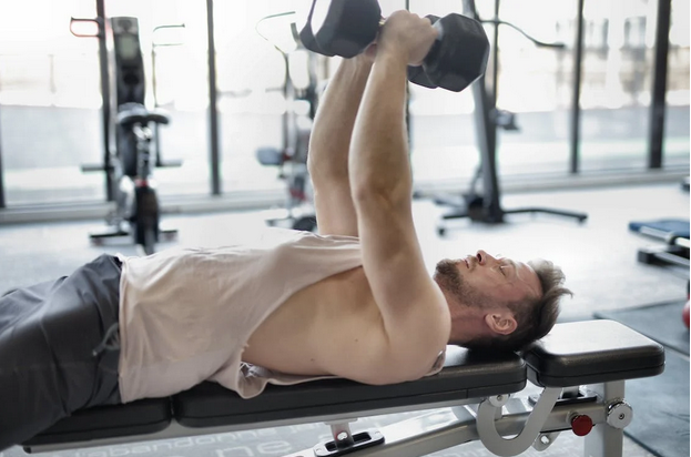 Guide to Building Muscle