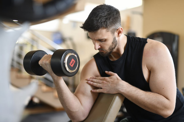 Guide to Building Muscle